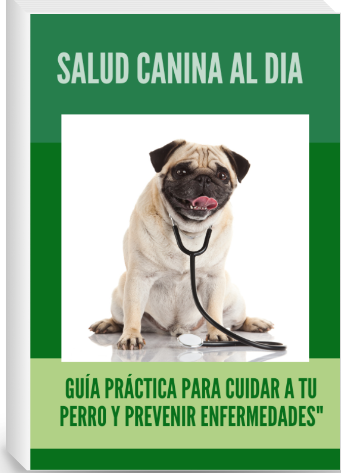 "El Poder del Amor en el Adiestramiento Canino"