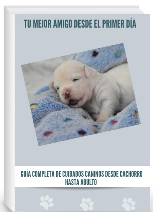 "El Poder del Amor en el Adiestramiento Canino"